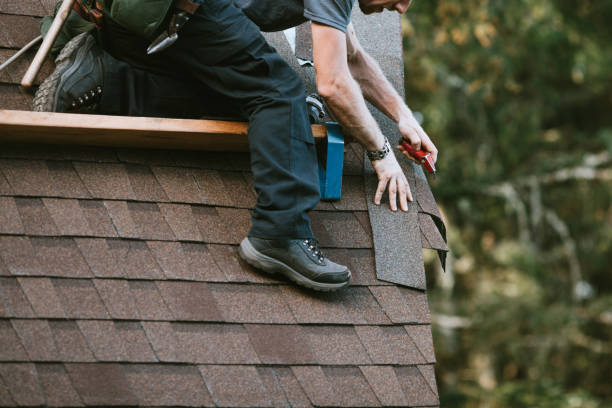 Best Roof Maintenance and Cleaning  in Woodville, FL